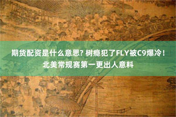 期货配资是什么意思? 树瘾犯了FLY被C9爆冷！北美常规赛第一更出人意料