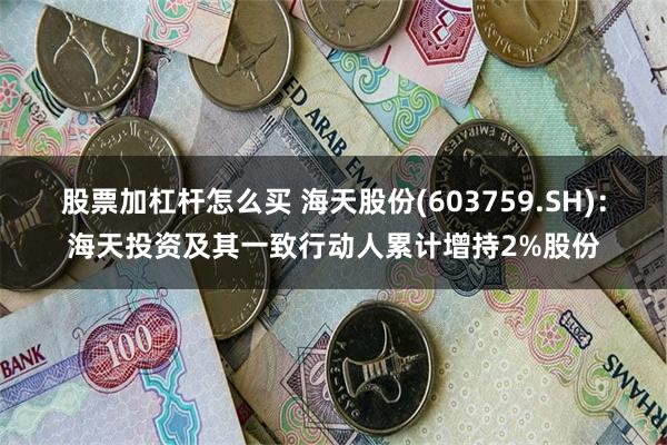 股票加杠杆怎么买 海天股份(603759.SH)：海天投资及其一致行动人累计增持2%股份